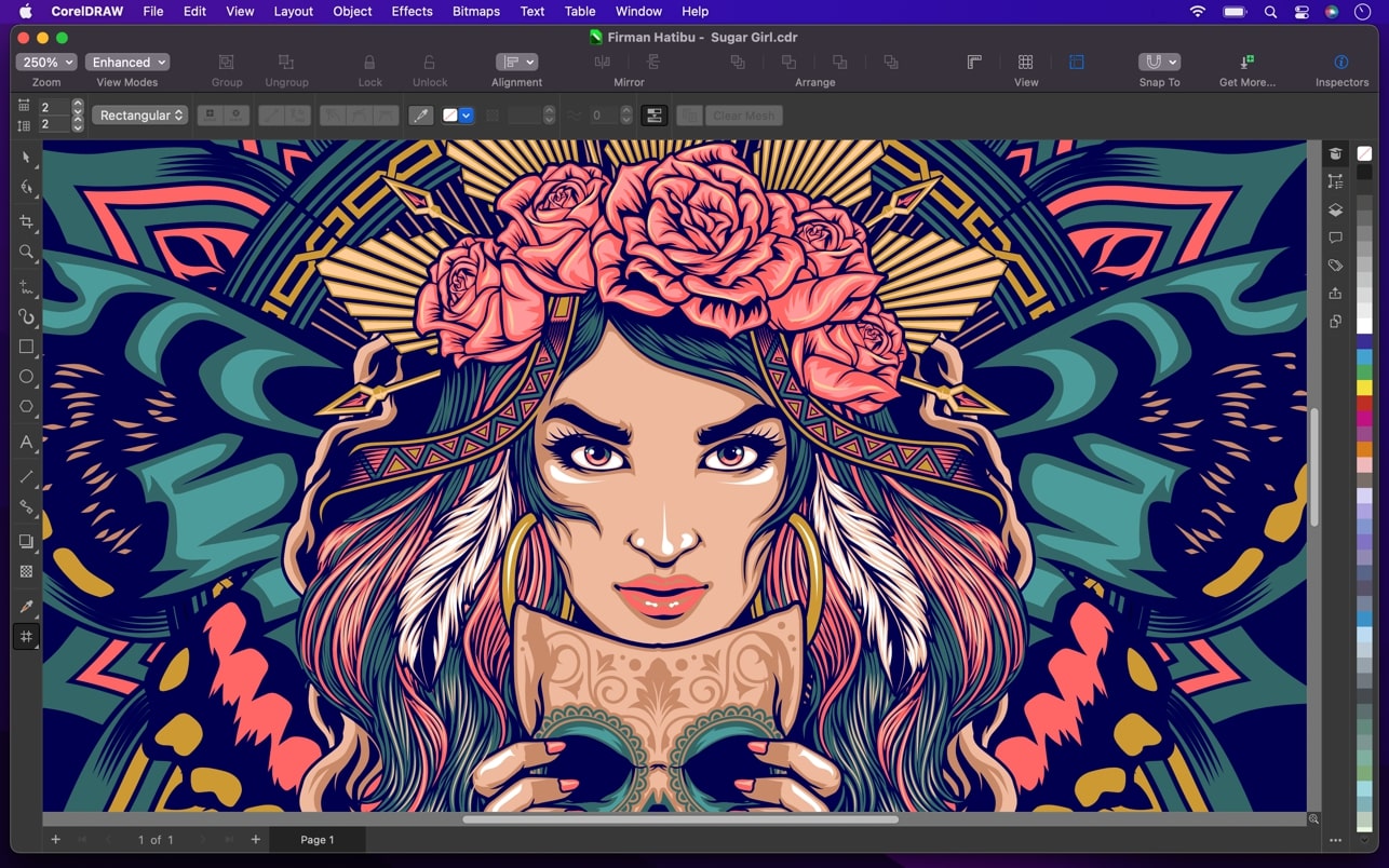 CorelDRAW for Mac v24.4.0.636 cdr平面设计工具-1