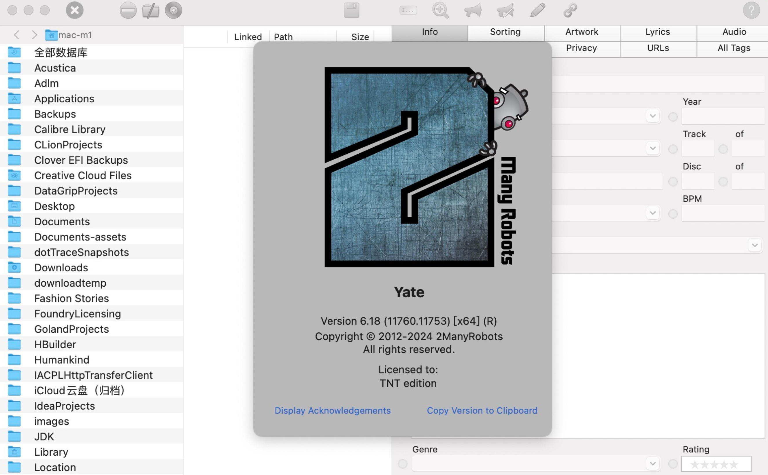 Yate for Mac v6.18 音乐标签管理工具-1