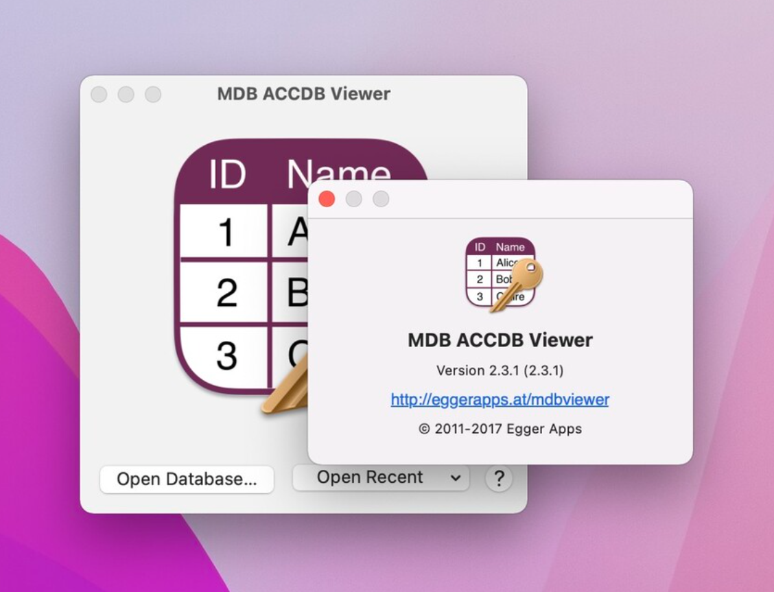 MDB ACCDB Viewer for Mac v2.3.1 MDB文件编辑器-1