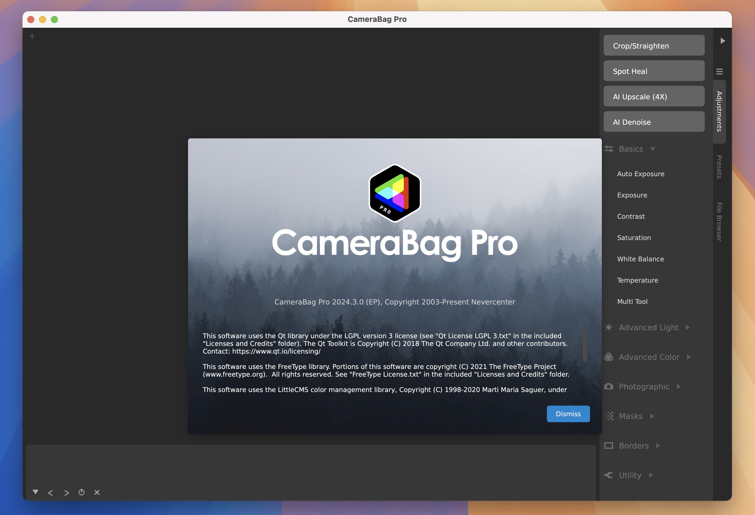 Nevercenter CameraBag Pro for Mac v2024.3 专业的图像处理工具-1