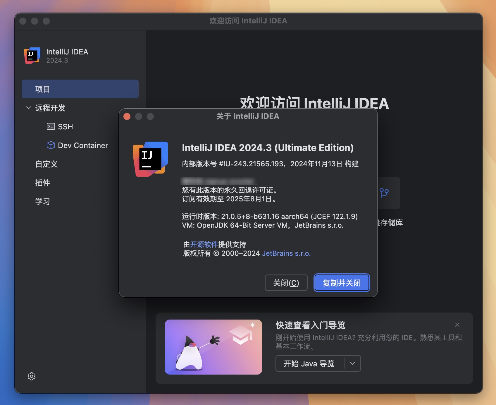 IntelliJ IDEA 2024 for Mac v2024.3 Java语言开发工具 IJ中文激活版-1