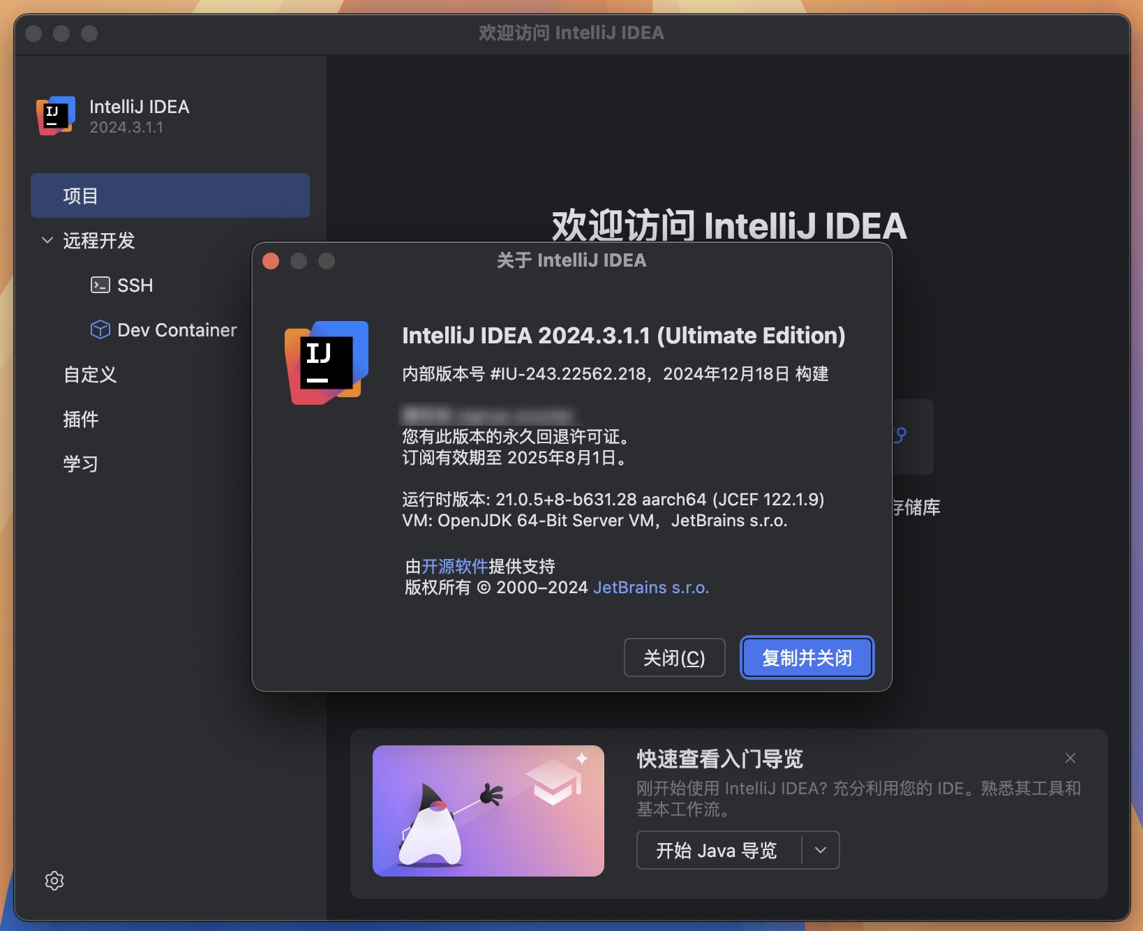 IntelliJ IDEA 2024 for Mac v2024.3.1.1 Java语言开发工具 IJ中文激活版-1