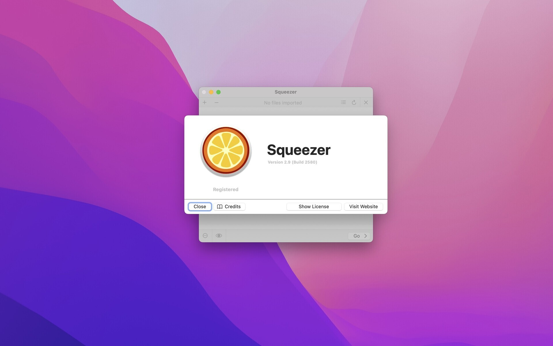 Squeezer for Mac v2.9 图片简易压缩工具-1